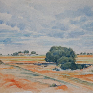 Paisajes arboles 73