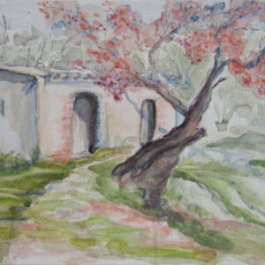Paisajes arboles 74