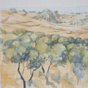 Paisajes arboles 76