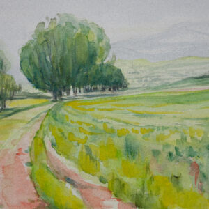 Paisajes arboles 77