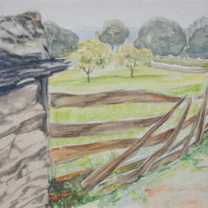 Paisajes arboles 78