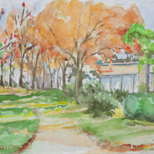 Paisajes arboles 79
