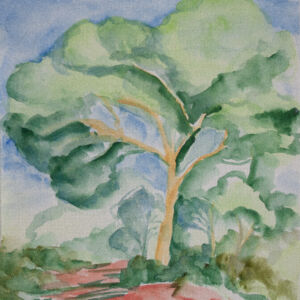 Paisajes arboles 84