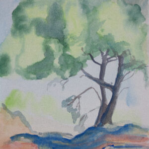 Paisajes arboles 86
