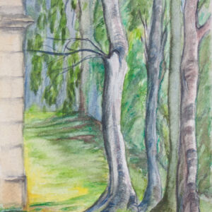 Paisajes arboles 88