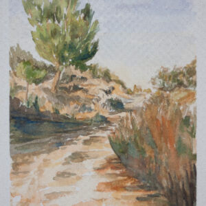 Paisajes arboles 89