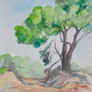 Paisajes arboles 90