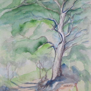 Paisajes arboles 91