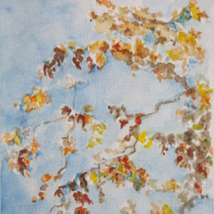Paisajes arboles 94