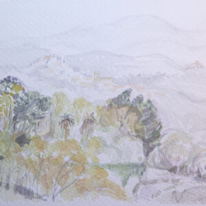 Paisajes bosques 01