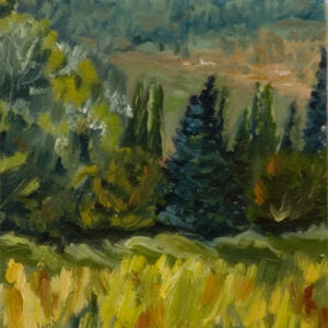 Paisajes bosques 17