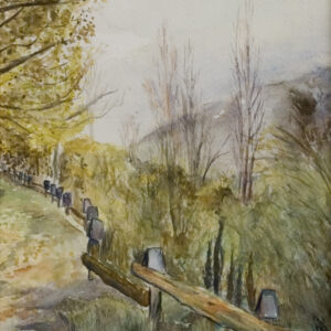 Paisajes bosques 19