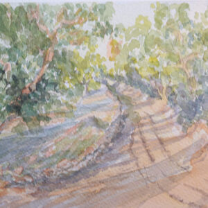 Paisajes bosques 02