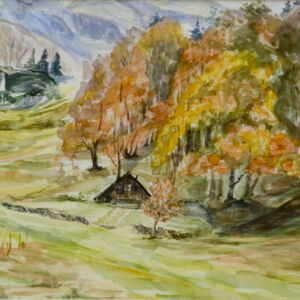 Paisajes bosques 20