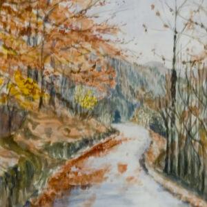 Paisajes bosques 21