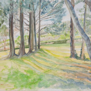 Paisajes bosques 22