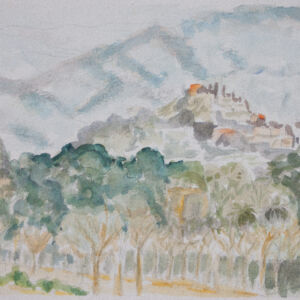 Paisajes bosques 23
