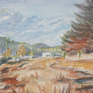 Paisajes bosques 25