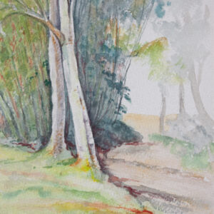Paisajes bosques 26