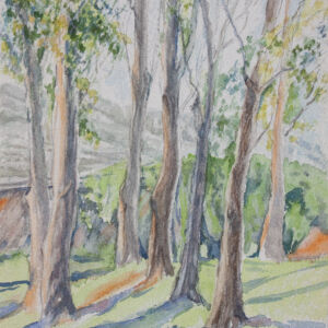 Paisajes bosques 27