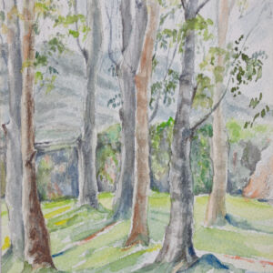 Paisajes bosques 28