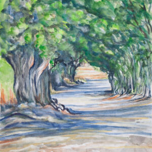 Paisajes bosques 29