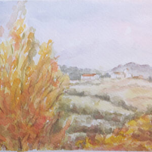 Paisajes bosques 03
