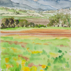 Paisajes bosques 32