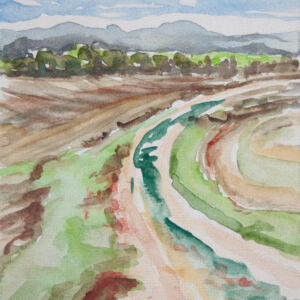 Paisajes bosques 33