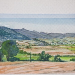 Paisajes bosques 35