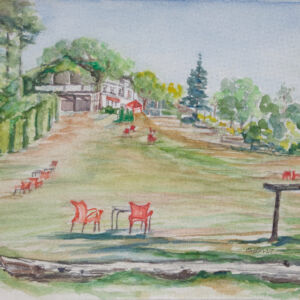 Paisajes bosques 36