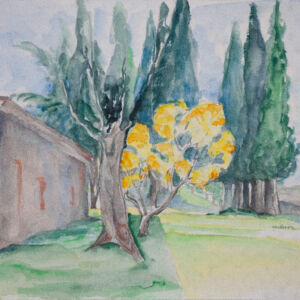 Paisajes bosques 38