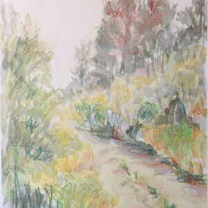 Paisajes bosques 05