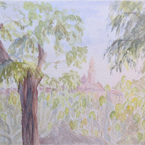 Paisajes bosques 07