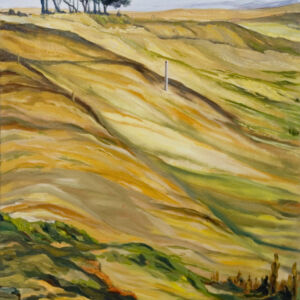 Paisajes llanuras 22