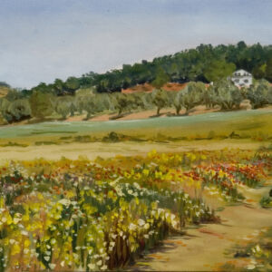 Paisajes llanuras 33