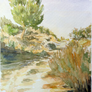 Paisajes llanuras 37