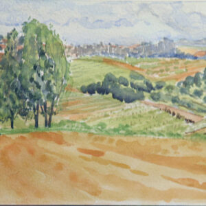 Paisajes llanuras 44