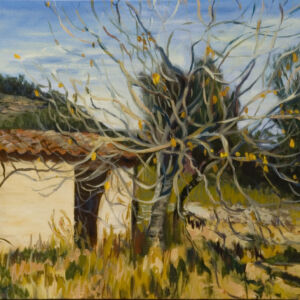 Paisaje urbano casas 17